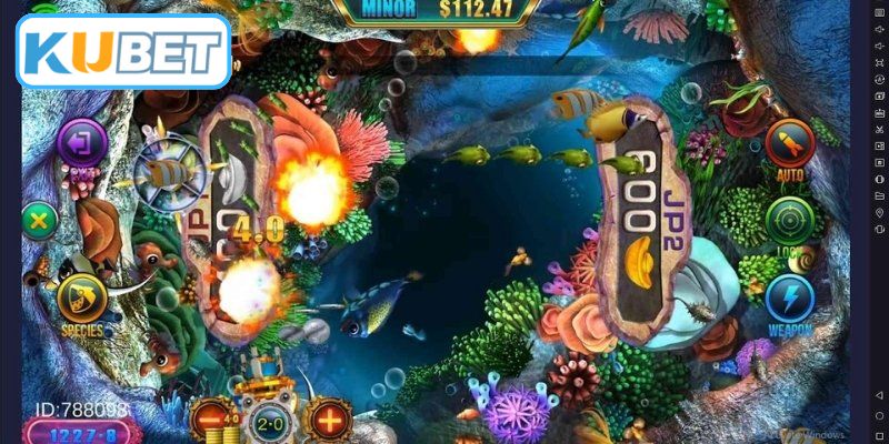 Bí quyết săn mồi tối ưu hiệu quả nhất